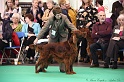 Crufts2011 727